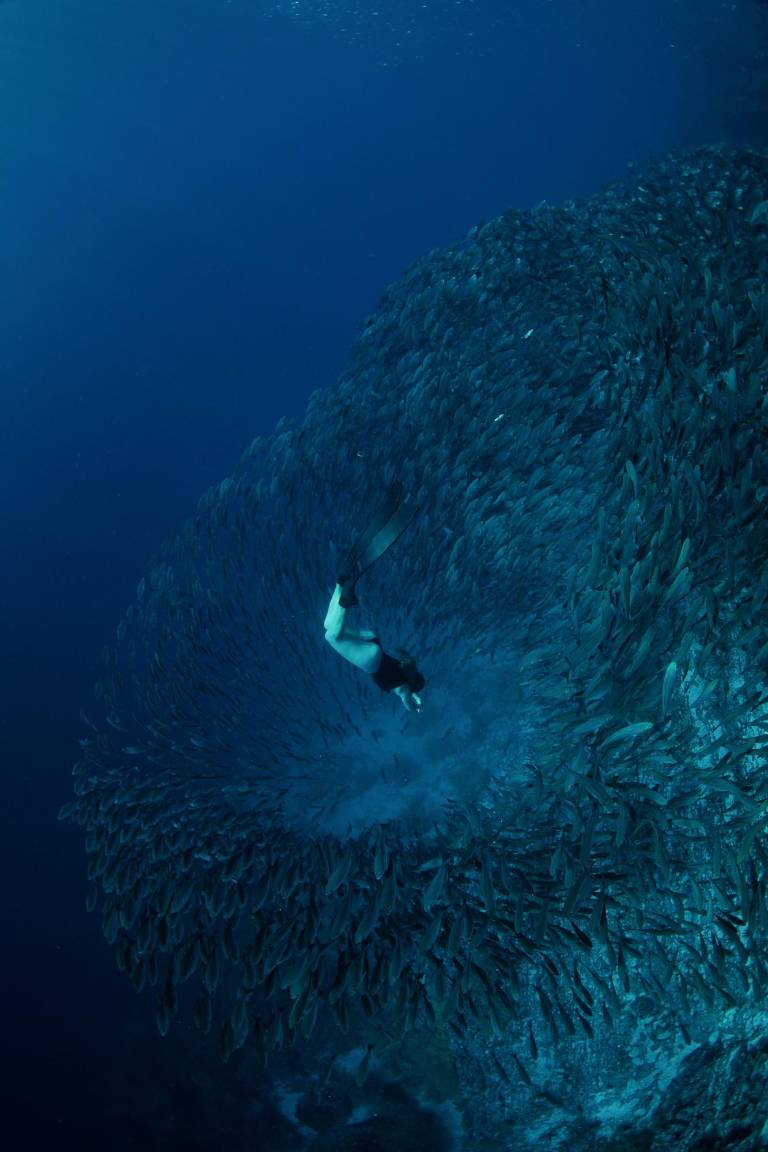 $!En el Islote Champion. “Durante este viaje hicimos un recorrido en el velero más antiguo de Galápagos llamado “El Pirata” por Floreana, San Cristóbal y Española.