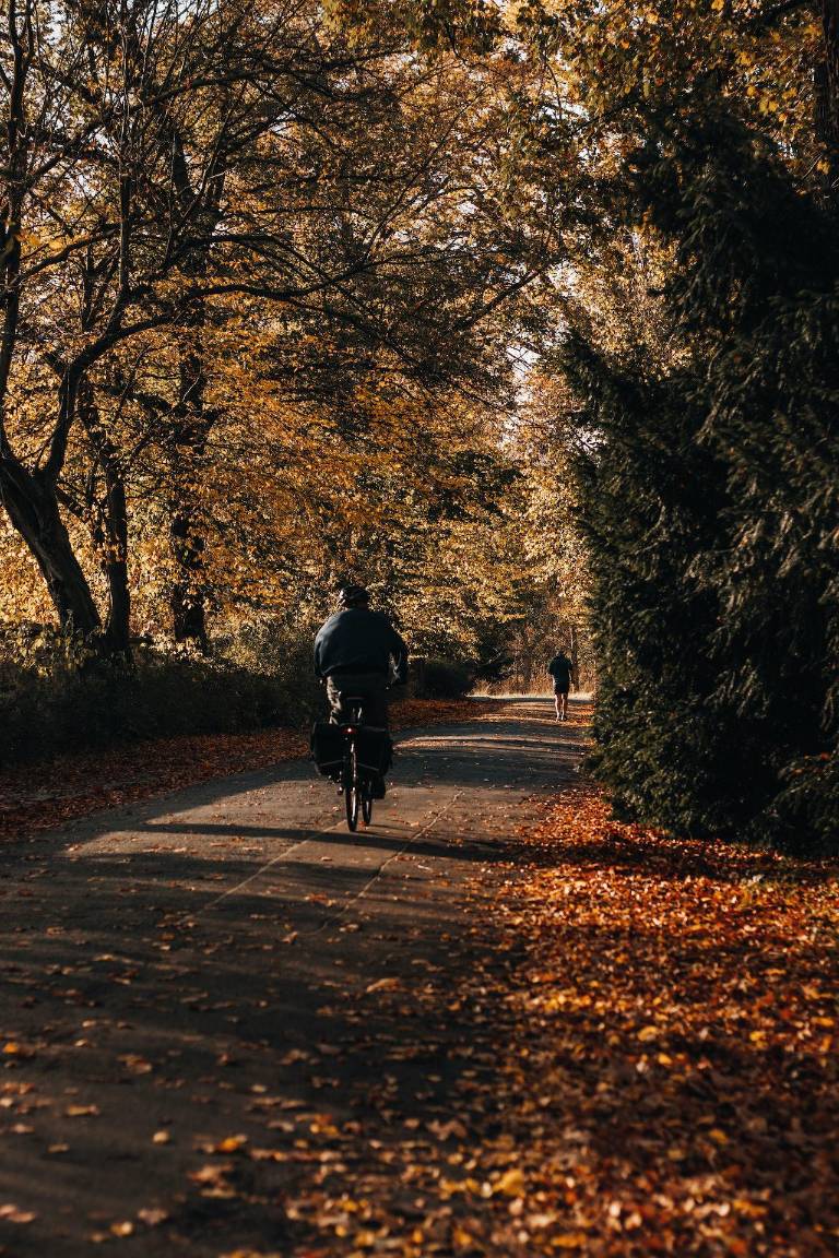$!Para este programa Washington se ha asociado con ICLEI-Gobiernos Locales por la Sustentabilidad, Resilient Cities Catalyst y el Instituto de las Américas.