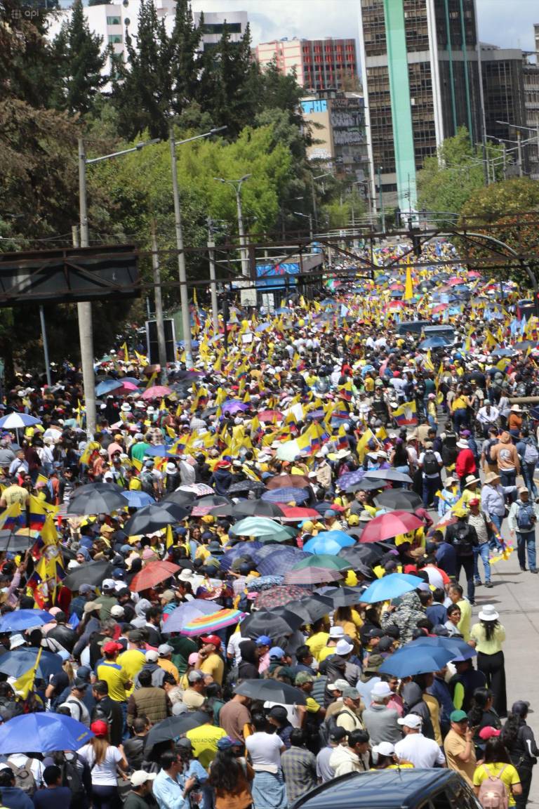 $!Fotografía de la marcha del presidente Daniel Noboa en contra de la Corte Constitucional.