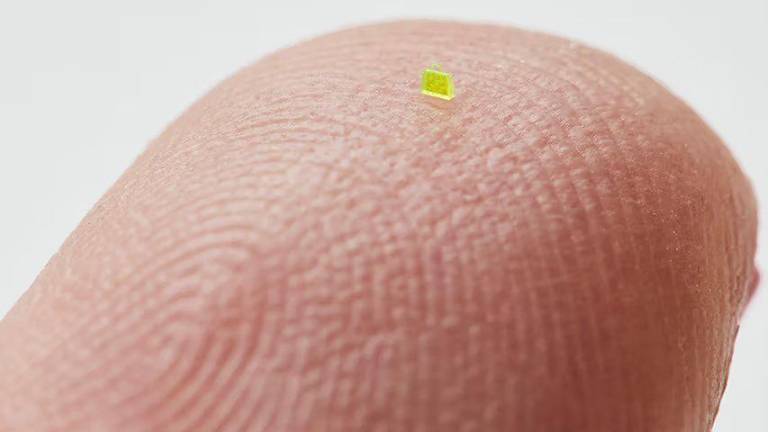 Del tamaño de un grano de sal: El bolso más pequeño del mundo es vendido por más de 63 mil dólares