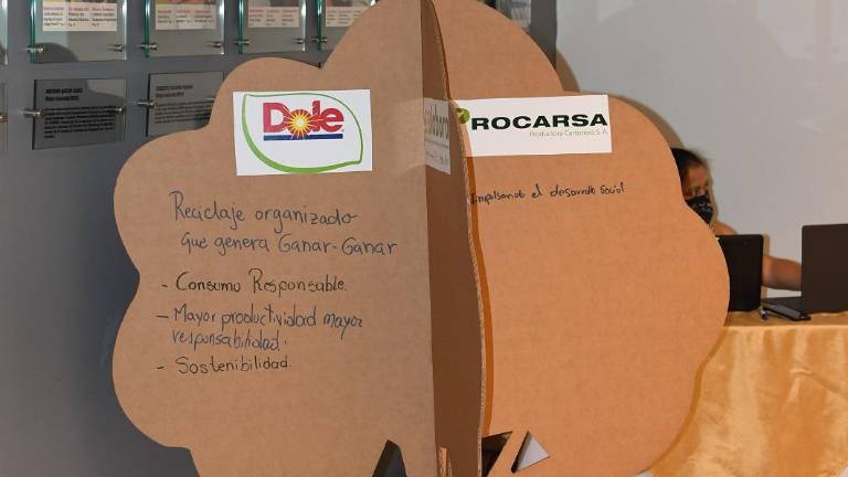 Nuevas iniciativas para fortalecer la economía circular en la industria del papel y cartón