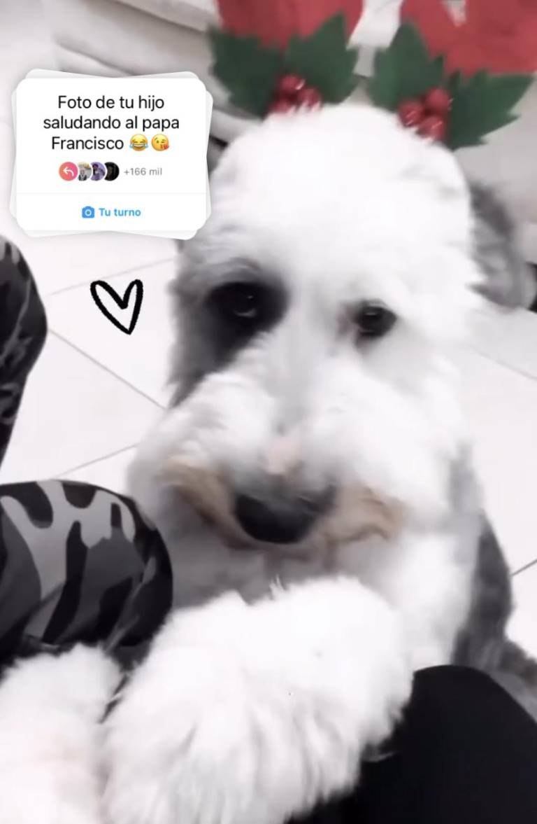 $!“Foto de tu hijo saludando al papa Francisco”, la respuesta de las redes sociales ante las declaraciones del pontífice