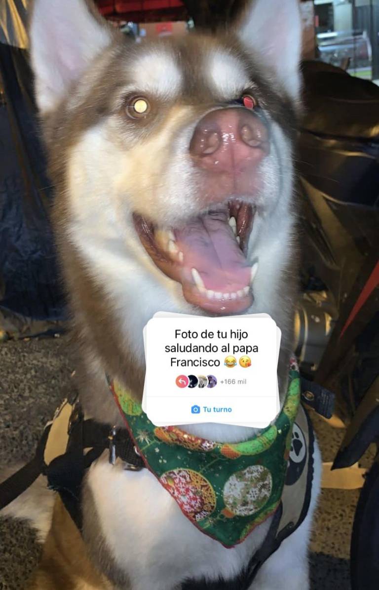 $!“Foto de tu hijo saludando al papa Francisco”, la respuesta de las redes sociales ante las declaraciones del pontífice