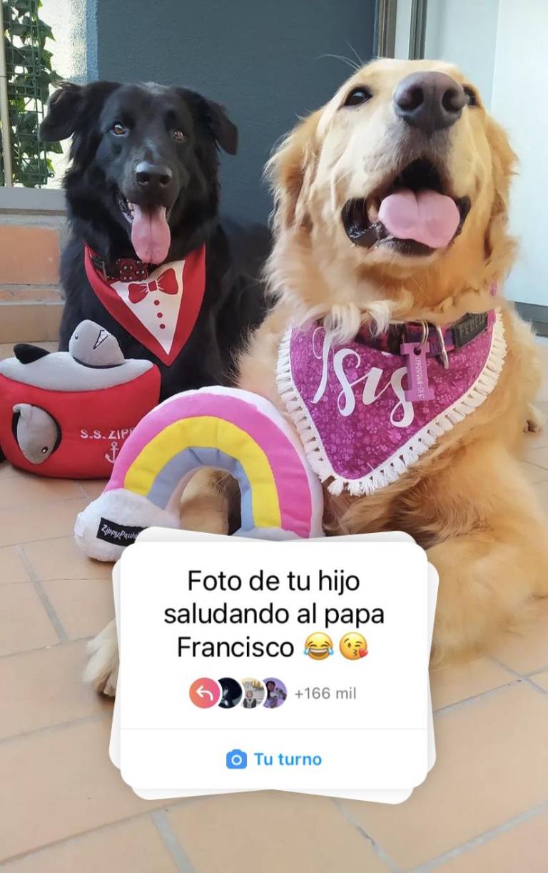 $!“Foto de tu hijo saludando al papa Francisco”, la respuesta de las redes sociales ante las declaraciones del pontífice