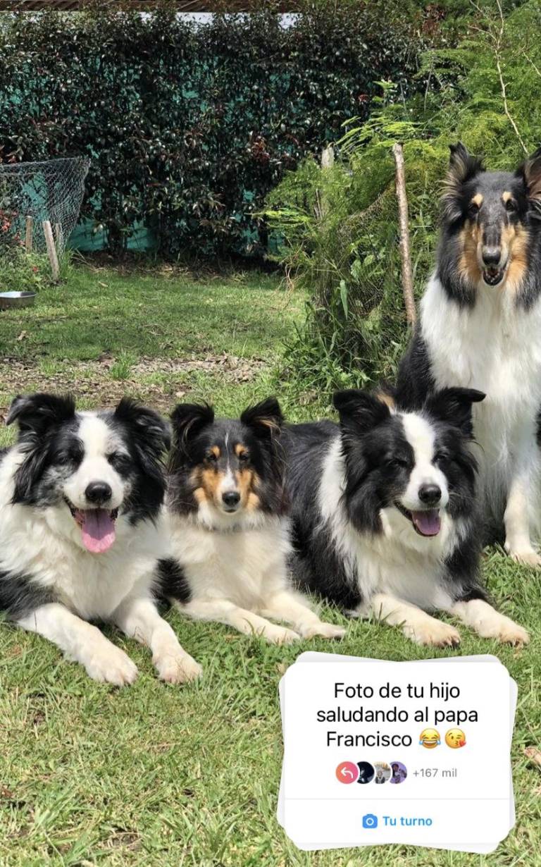 $!“Foto de tu hijo saludando al papa Francisco”, la respuesta de las redes sociales ante las declaraciones del pontífice
