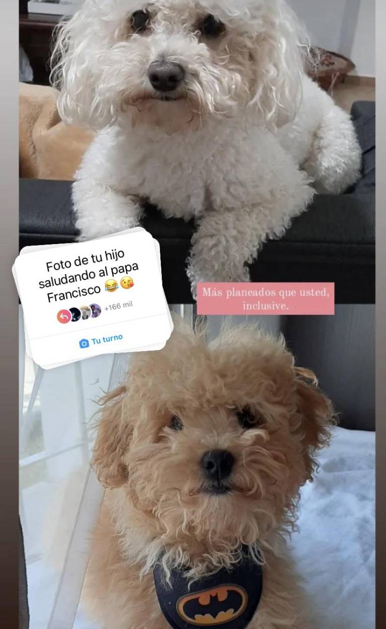 $!“Foto de tu hijo saludando al papa Francisco”, la respuesta de las redes sociales ante las declaraciones del pontífice