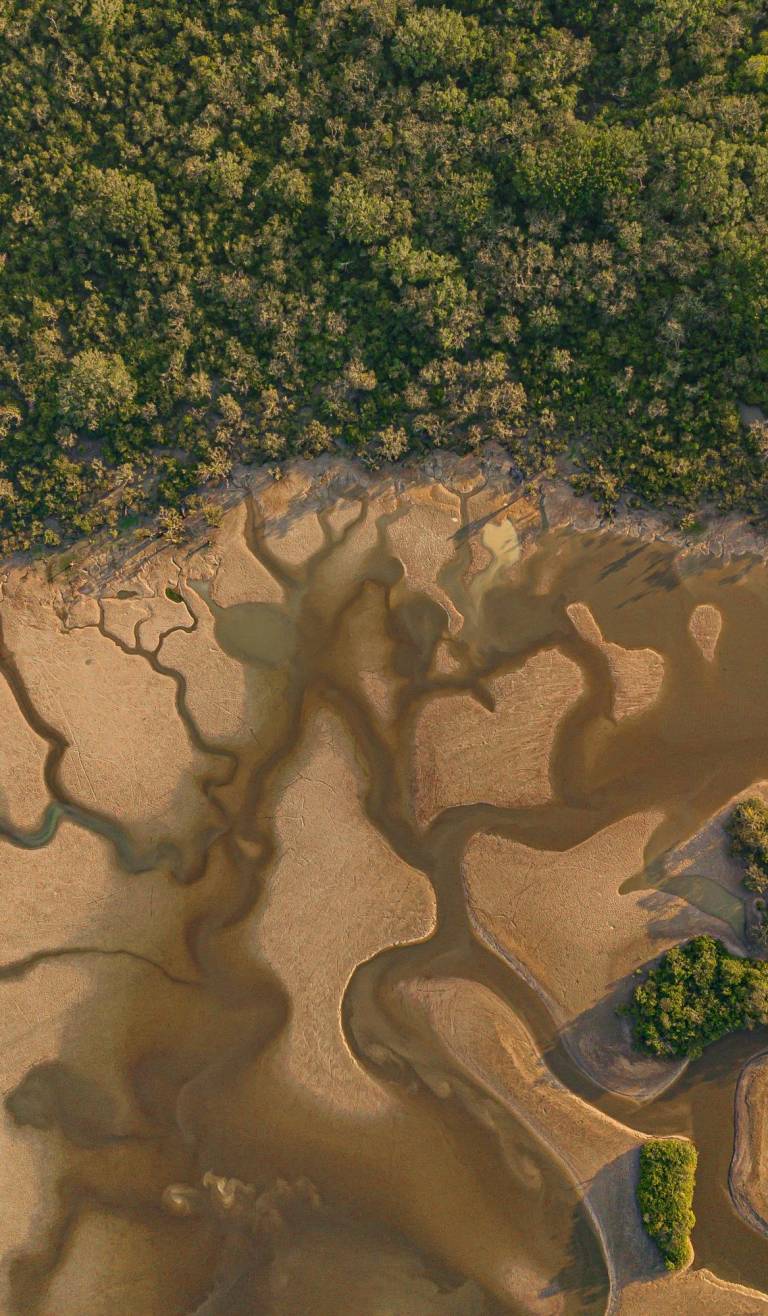 $!La laguna grande vista desde el aire en la temporada seca. Se pueden observar serpenteantes riachuelos que aún subsisten en esta época.