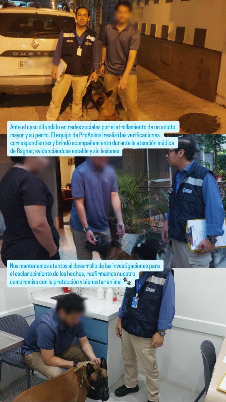 $!El animal de compañía fue localizado por miembros de ProAnimal.