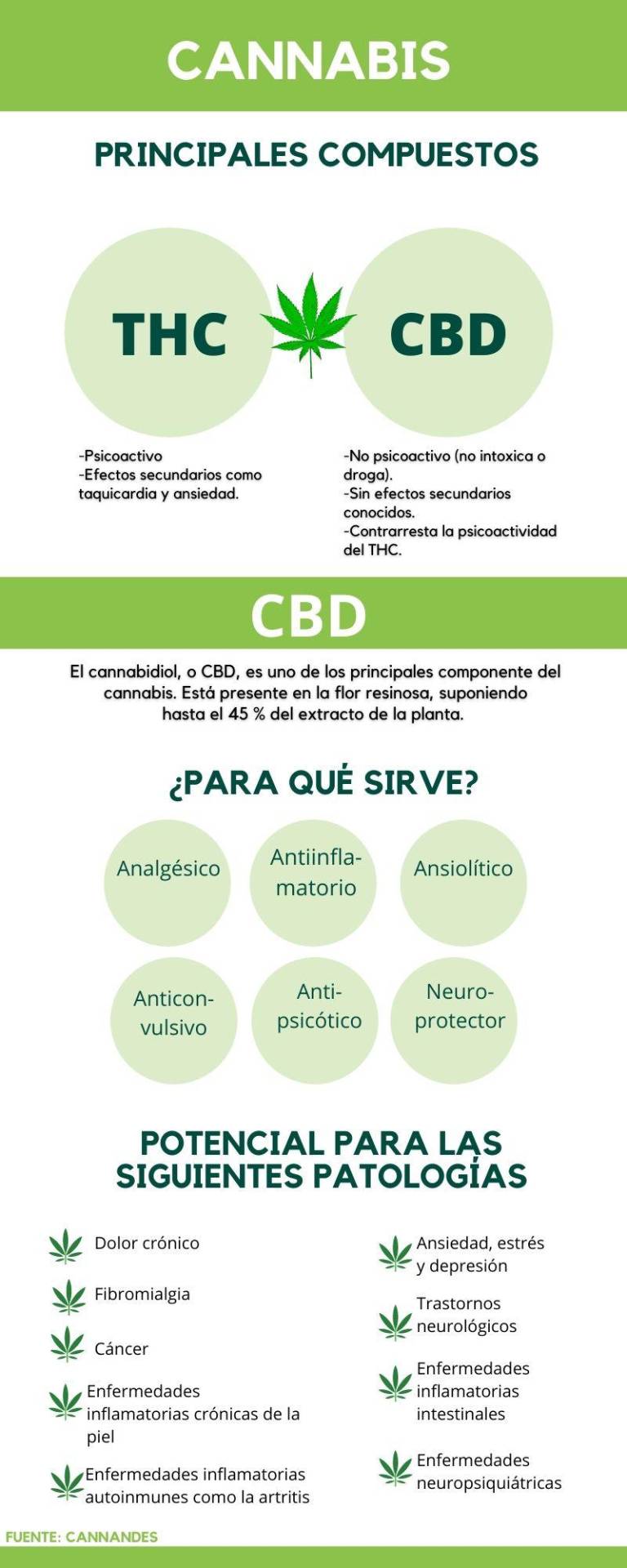 $!Las propiedades medicinales del cannabis y los retos para obtener un tratamiento en Ecuador