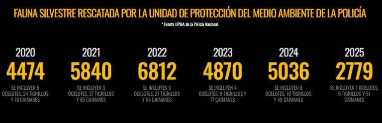 $!Fauna silvestre, el nuevo botín del crimen organizado en Ecuador