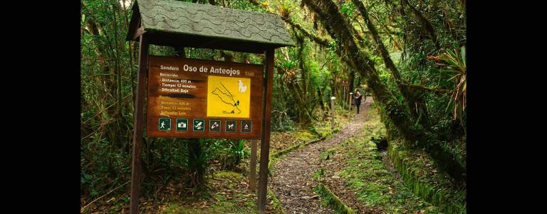 $!El Sendero del Oso de Anteojos es uno de los de menor dificultad del parque.