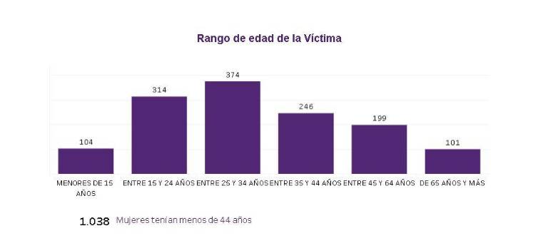 $!Radiografía de femicidios y muertes violentas contra mujeres en Ecuador desde 2014