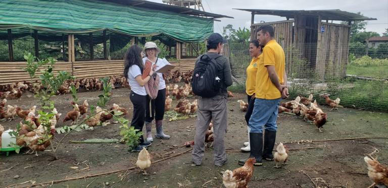 $!Especialistas de Terranimal brindando orientación a los encargados de la crianza de gallinas.