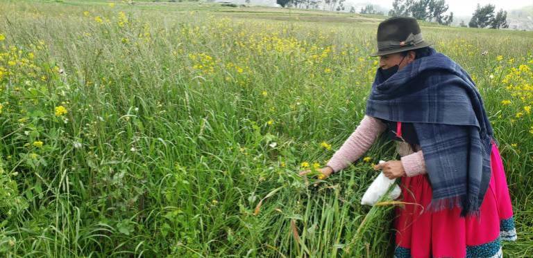 Dos periodistas de Vistazo fueron reconocidos por sus reportajes ambientales
