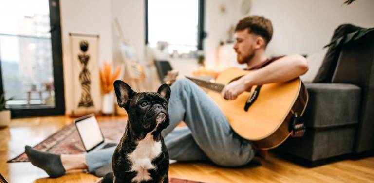 $!La música y sus beneficios para las mascotas