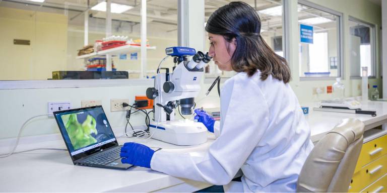 $!La oferta de cuarto nivel de la UTPL es tan variada que cubre diversas áreas del conocimiento.