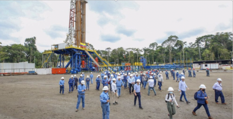 $!La explotación del bloque 43 – ITT impacta a una de las zonas más importantes del mundo en cuanto a biodiversidad y fauna, el Parque Nacional Yasuní, el cual ha sido catalogado por la UICN como un área protegida. Foto archivo