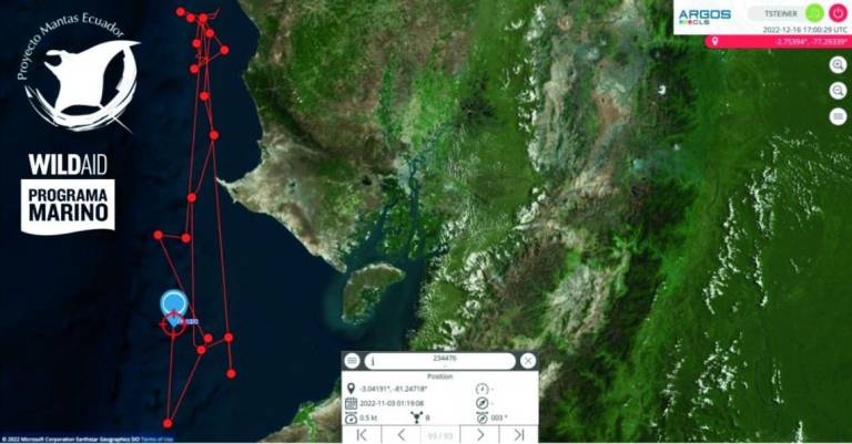 $!Rutas migratorias de las mantas gigantes.