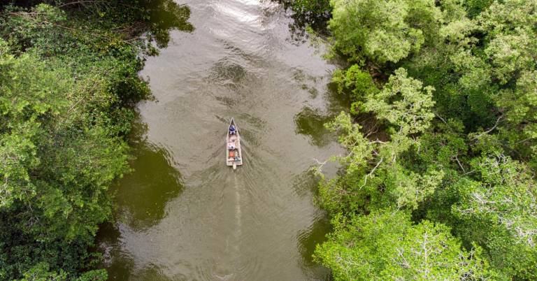 $!Fotografía de los manglares que rodean a la comuna de Canchimalero, ubicado al norte de Esmeraldas.