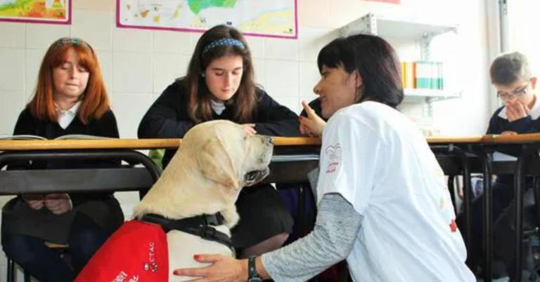 $!Se creará una Red Nacional de Docentes para la Protección y el Bienestar Animal.