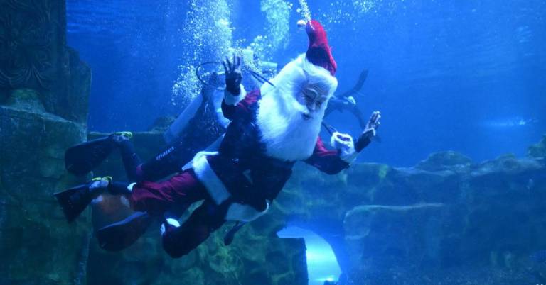 $!Papá Noel bajo el agua en Chennai, India.