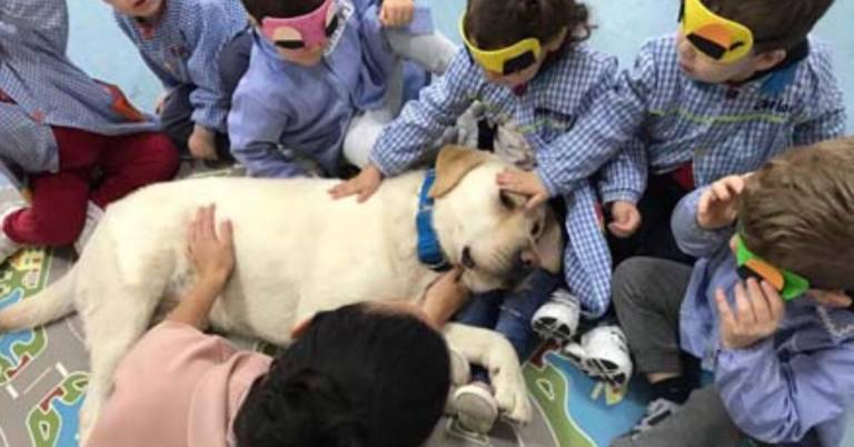 $!El Ministerio de Educación colombiano tendrá un plazo de seis meses para definir los lineamientos curriculares que integrarán este nuevo enfoque.