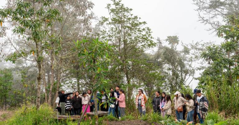 $!Yunguilla perdió más del 50 por ciento del bosque nublado por la producción de carbón y madera. En 1973, esto cambió cuando 18 personas iniciaron un proyecto de conservación ambiental.