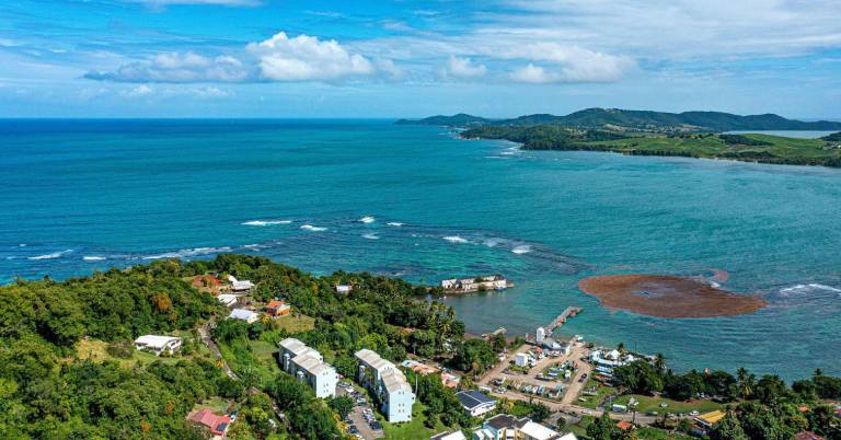 $!Vista aérea de un pueblo costero en Dominica, este destino está entre los mejores para visitar en 2026 por su naturaleza y reserva de cachalotes.