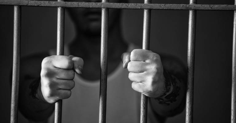 $!El fallo condena al acusado a doce meses y un día de prisión por un delito de maltrato animal.