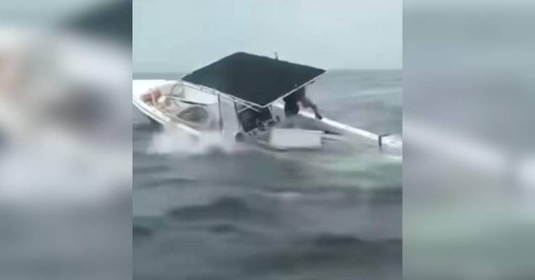 $!Lancha giró por completo tras golpe de ballena.