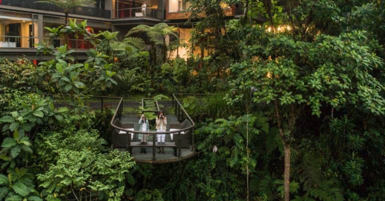 $!Imagen del Mashpi Lodge, uno de los hoteles galardonados con Dos Llaves Michelin e ingresó a la importante guía turística mundial.