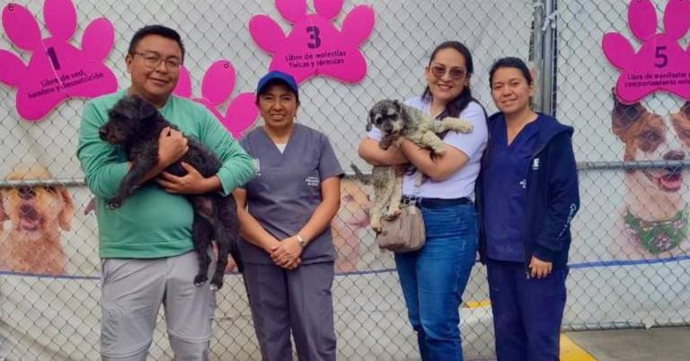 $!La UBA recordó que golpear o maltratar nunca es un método de educación, sino una forma de violencia sancionada por la ley.