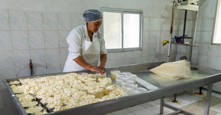 $!En la fábrica de lácteos se producen entre 65 a 85 quesos diarios. Allí trabajan y se recibe solo materia prima de personas de la comunidad.