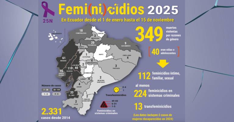 $!Femicidios en 2025, según la Fundación Aldea.