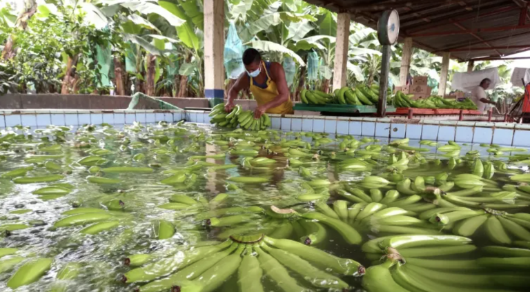 $!EE.UU. anuncia acuerdo con Ecuador.