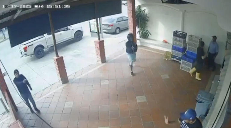 $!Asesinato de Mario Pineida.