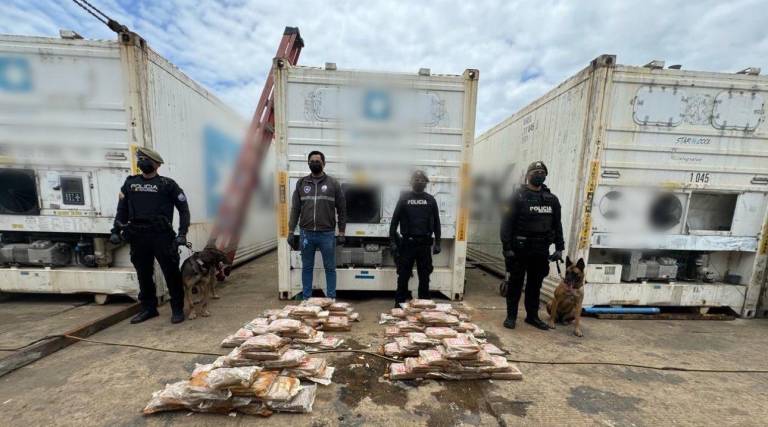 $!Policía incauta importante cargamento de cocaína en puerto de Machala, con la ayuda de un perro