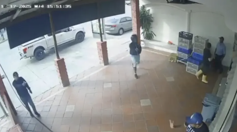 $!Asesinato de Mario Pineida.