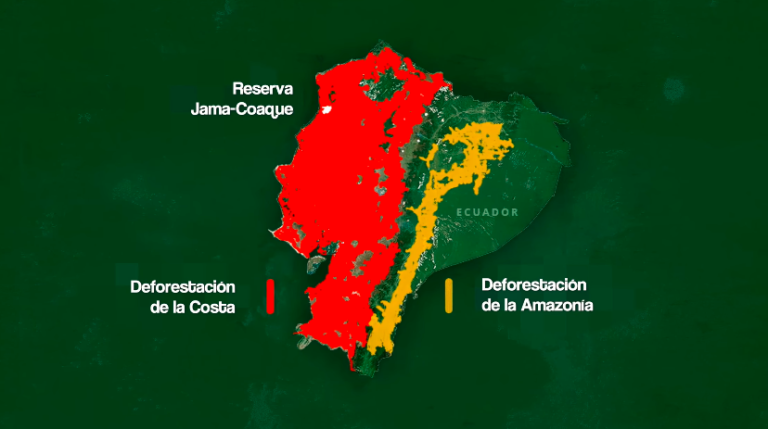 $!La deforestación que históricamente ha sufrido el Bosque del Pacífico supera en extensión a la deforestación de la Amazonía.