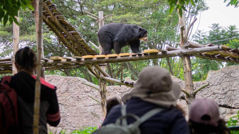 $!Quito ofrece una amplia oferta de actividades por el feriado de Carnaval