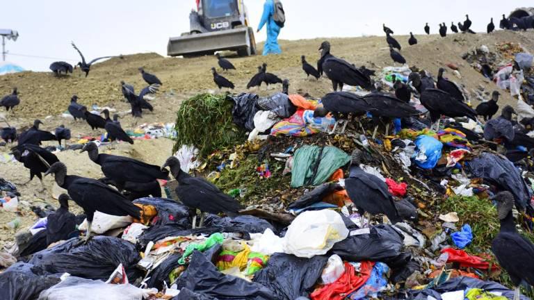Contraloría halla irregularidades en la gestión de la basura por parte de los municipios