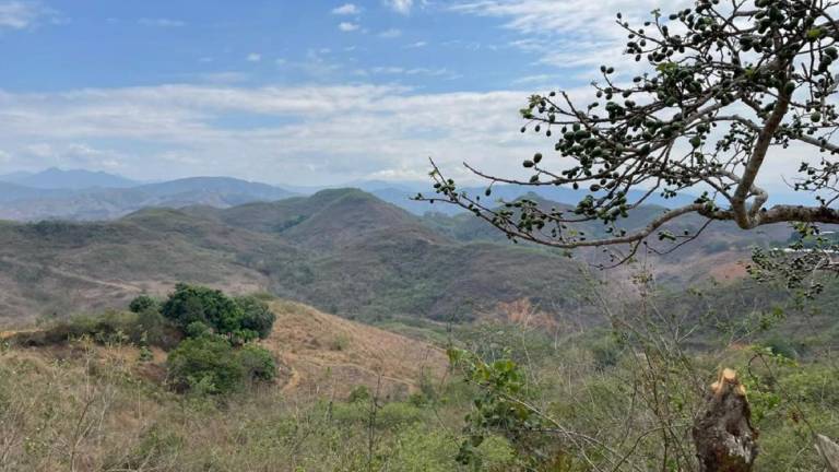 Ecuador promueve la restauración ecológica en provincia fronteriza con Perú