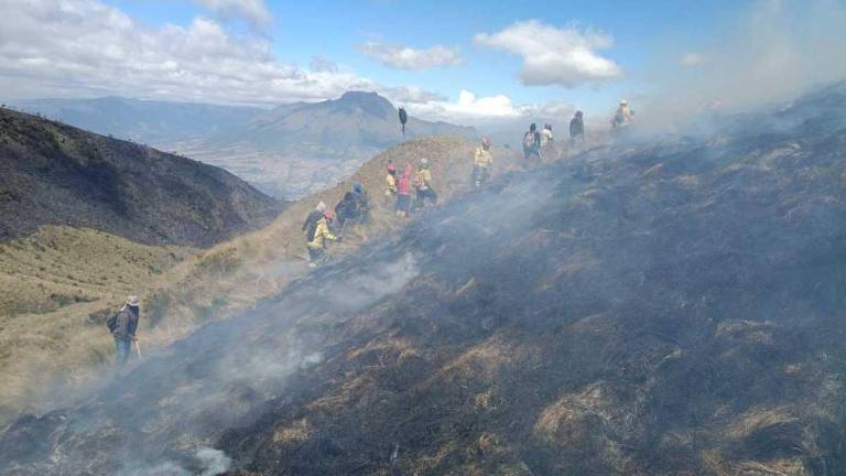 Más de 500 hectáreas afectadas por incendio forestal en el Parque Nacional Cotacachi - Cayapas