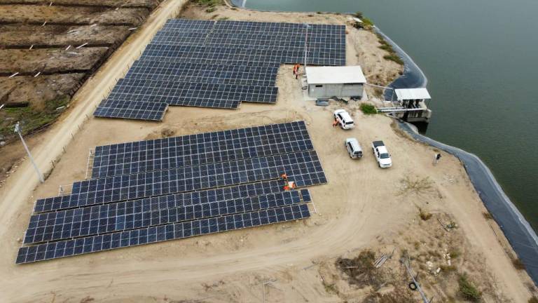 Paneles fotovoltaicos se instalan en hacienda bananera