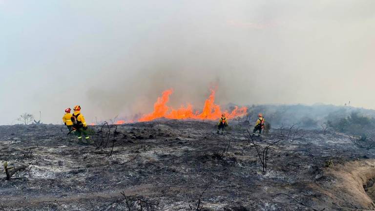 200 bomberos y 80 militares intentan apagar incendio en Cerro Casitagua