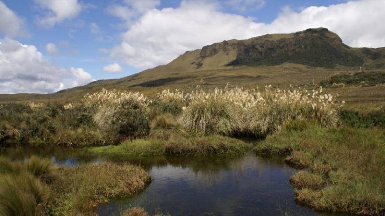 Piden detener proyecto de carretera Salcedo-Tena por temor a daños en el Parque Nacional Llanganates