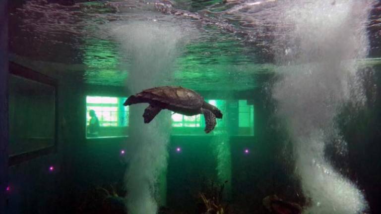 Contraloría descubre incumplimientos y pagos injustificados en obras de recreación del SECOB