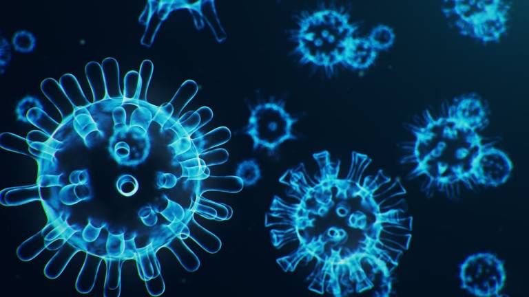En octubre pudo haberse infectado el primer humano de coronavirus, según estudio de genomas