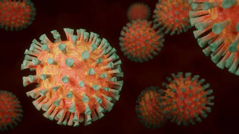 ¿Hallan el punto débil del coronavirus?