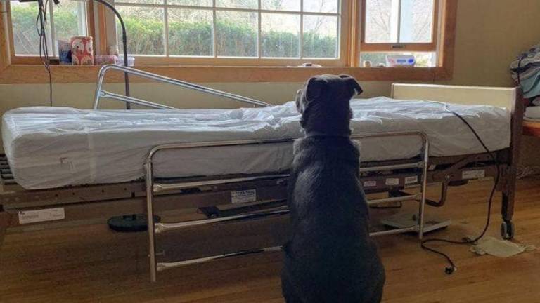 “Moose” el perro que esperó a su dueño fallecido durante días